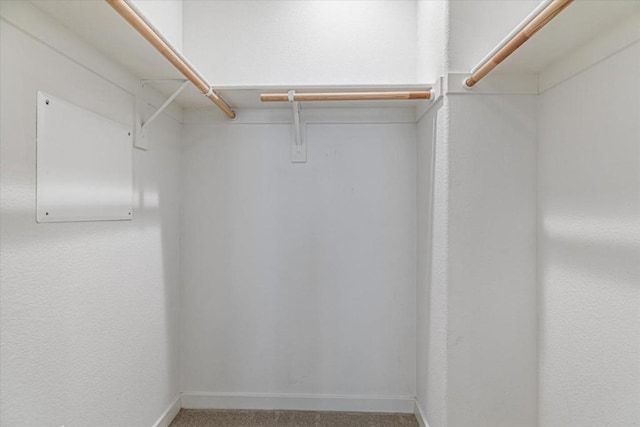 spacious closet with carpet