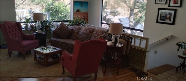 living room featuring hardwood / wood-style floors