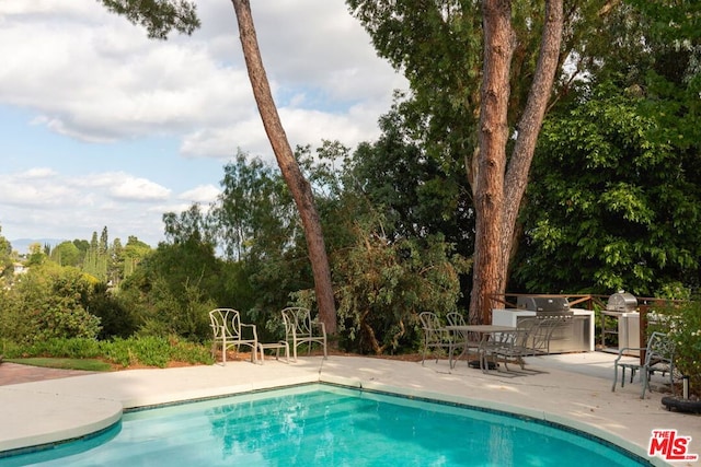 view of swimming pool with a patio area