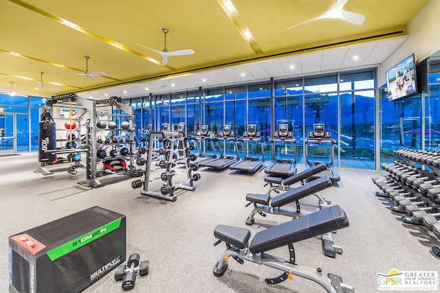 exercise room featuring floor to ceiling windows and ceiling fan