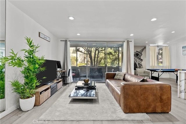 living room featuring light hardwood / wood-style floors