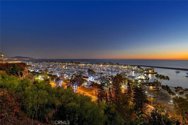 34532 Camino Capistrano, Dana Point, CA 92624 - photo 68