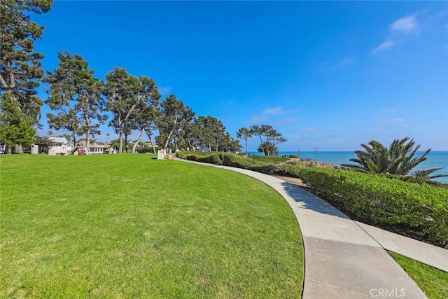 34532 Camino Capistrano, Dana Point, CA 92624 - photo 69