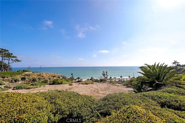 34532 Camino Capistrano, Dana Point, CA 92624 - photo 70