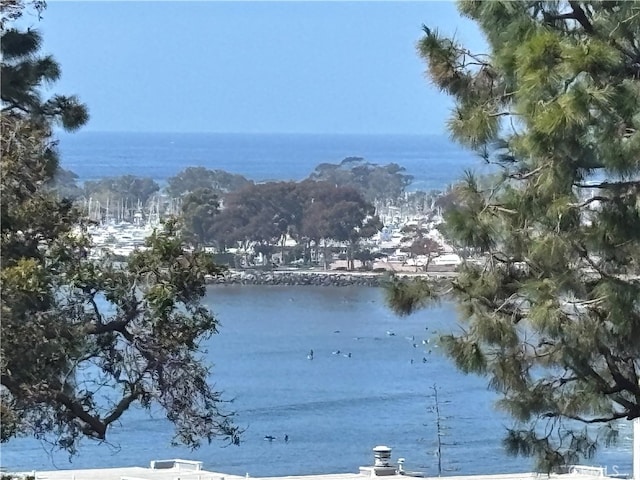 34532 Camino Capistrano, Dana Point, CA 92624 - photo 51