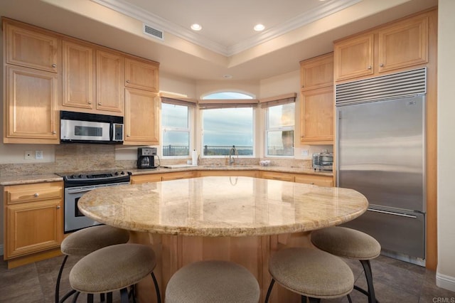 kitchen with light stone countertops, a center island, stainless steel appliances, a tray ceiling, and sink