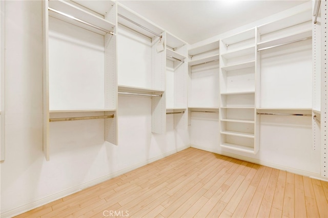 walk in closet featuring hardwood / wood-style flooring