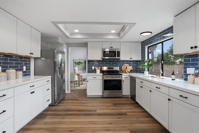 kitchen featuring a tray ceiling, white cabinetry, dark wood-type flooring, and stainless steel appliances