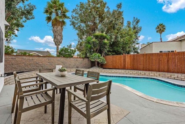 view of pool with a patio area