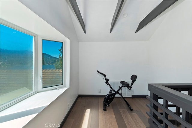 exercise area with vaulted ceiling, dark wood-type flooring, and a healthy amount of sunlight