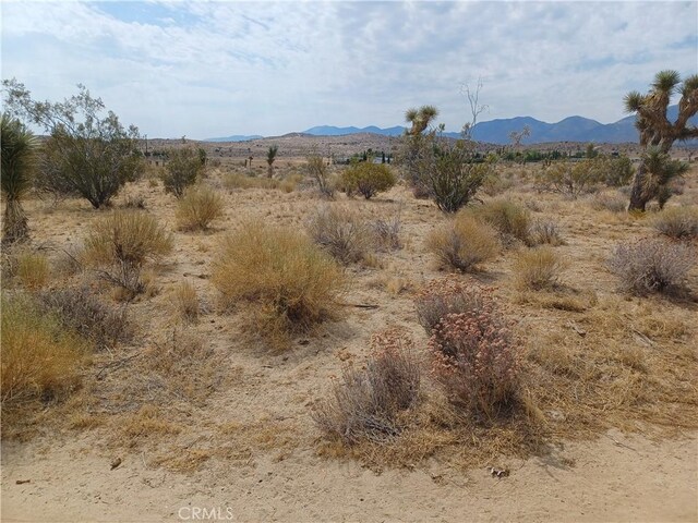 0 E Ave V-12, Pearblossom, CA 93553