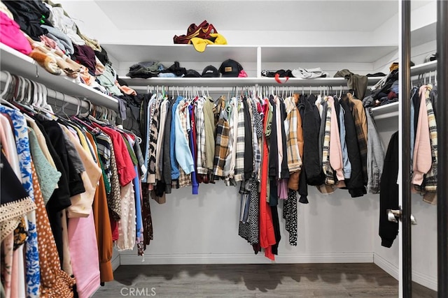 spacious closet featuring wood-type flooring