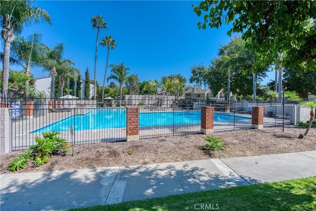 view of pool with a patio area