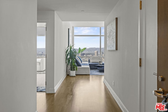 hall featuring hardwood / wood-style floors