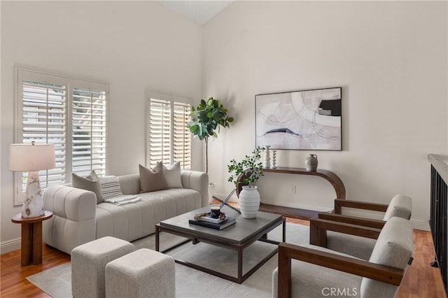 living room featuring high vaulted ceiling and wood-type flooring