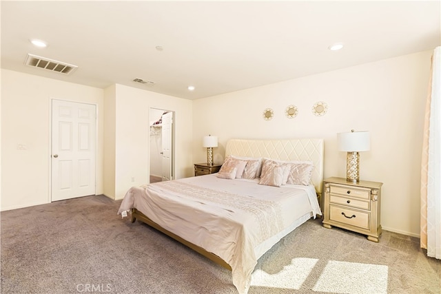 carpeted bedroom with a spacious closet and a closet