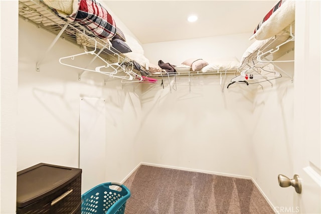 spacious closet featuring carpet flooring