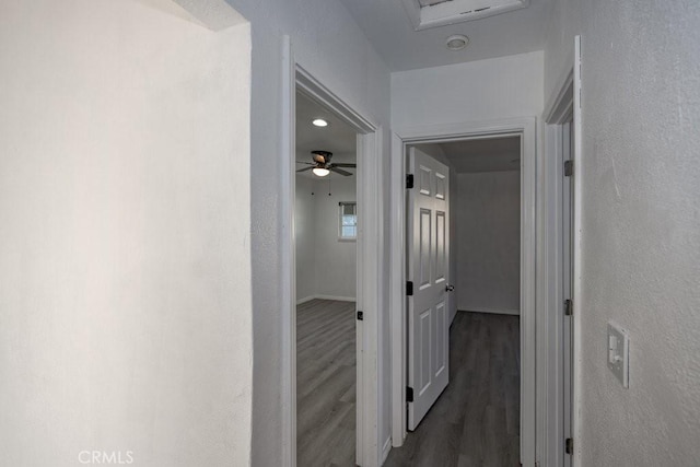 corridor featuring dark hardwood / wood-style flooring