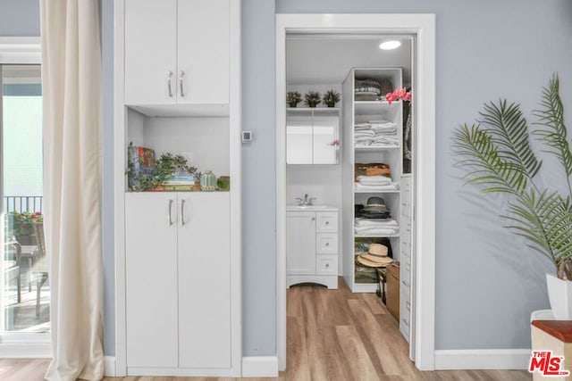 closet with sink