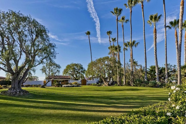 view of property's community featuring a yard