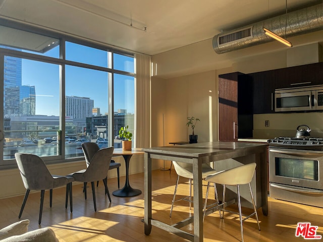 kitchen with floor to ceiling windows, light hardwood / wood-style flooring, and stainless steel appliances