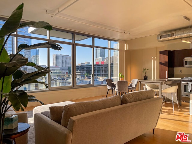 living room featuring light hardwood / wood-style flooring and a water view