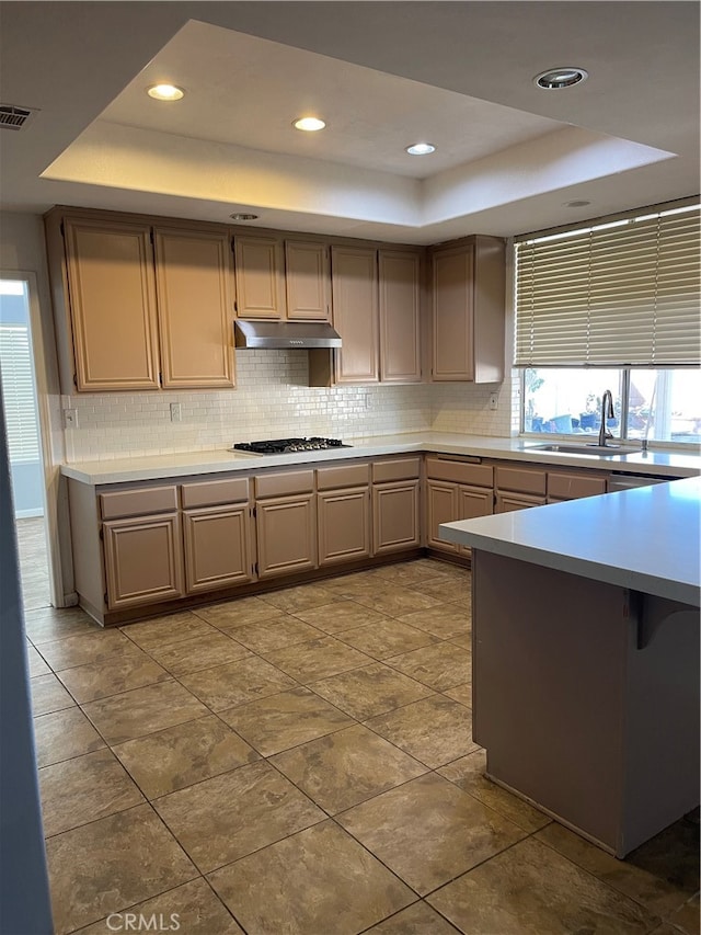 kitchen with a tray ceiling, backsplash, sink, and stainless steel gas cooktop