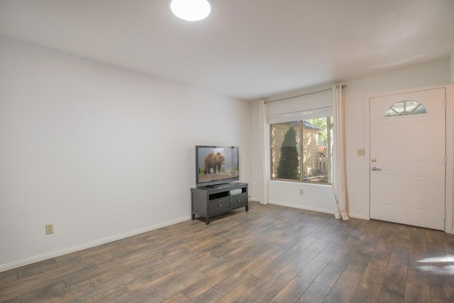 entrance foyer featuring dark hardwood / wood-style flooring