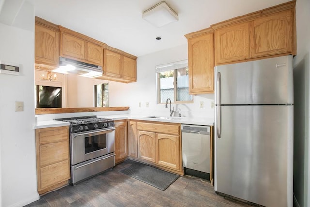 kitchen featuring range hood, stainless steel appliances, dark wood-type flooring, and sink