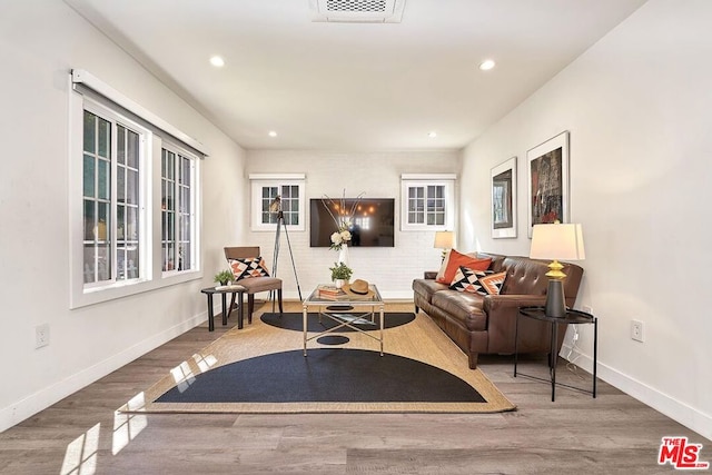 living room featuring hardwood / wood-style floors