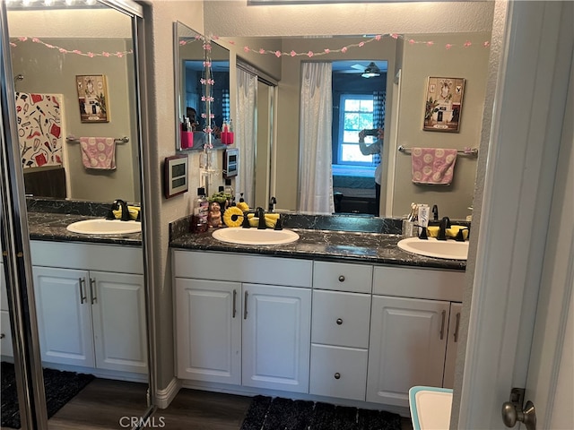 bathroom with wood-type flooring and vanity