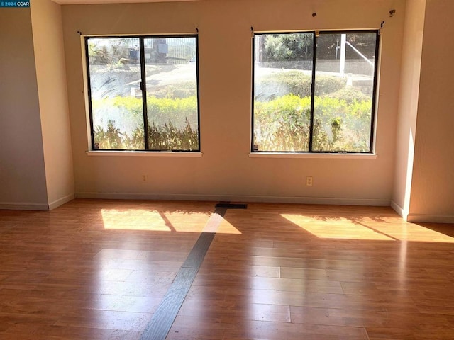 spare room with plenty of natural light and light hardwood / wood-style floors