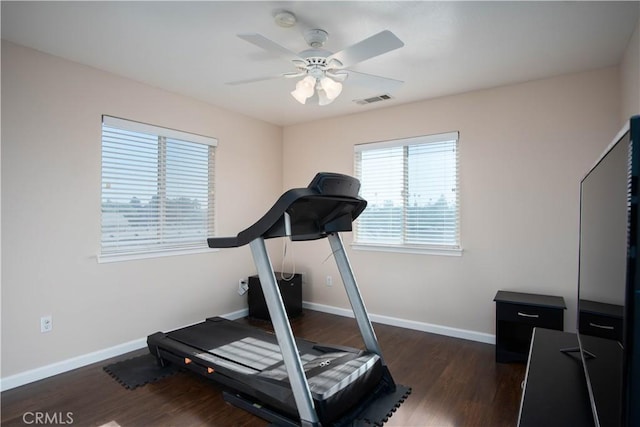 workout room featuring dark hardwood / wood-style flooring and ceiling fan