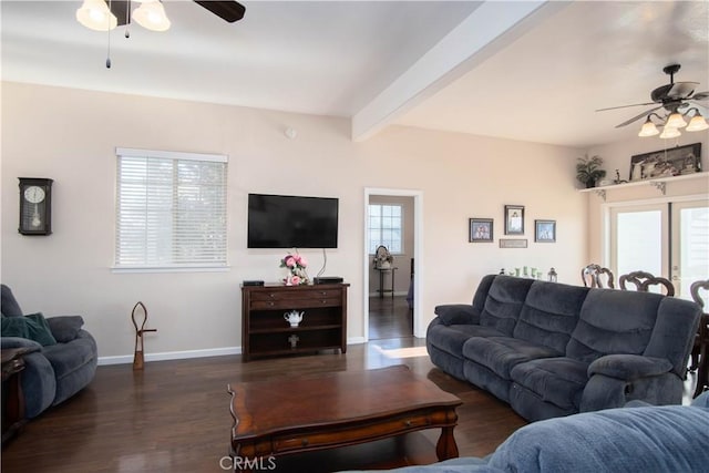 living room with ceiling fan, beam ceiling, dark hardwood / wood-style floors, and a healthy amount of sunlight