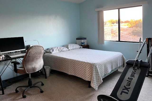 bedroom with carpet