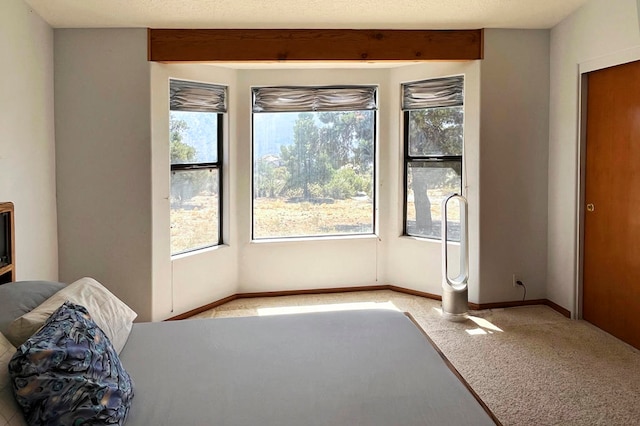 bedroom with carpet