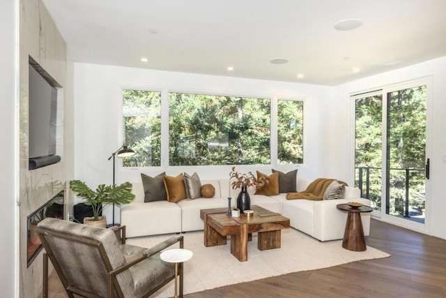 living room featuring a wealth of natural light, a premium fireplace, and hardwood / wood-style flooring