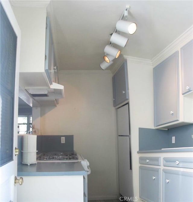 kitchen featuring gray cabinets, white fridge, and ornamental molding