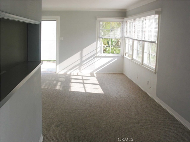 empty room with light carpet and ornamental molding