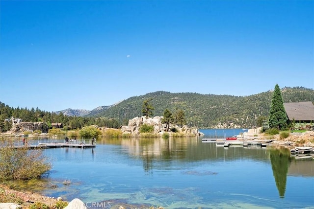 property view of water with a mountain view and a boat dock