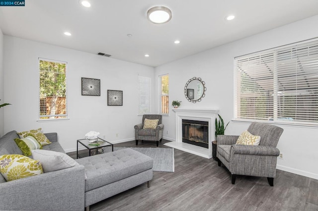 living room featuring dark hardwood / wood-style floors