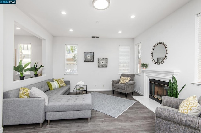 living room featuring wood-type flooring