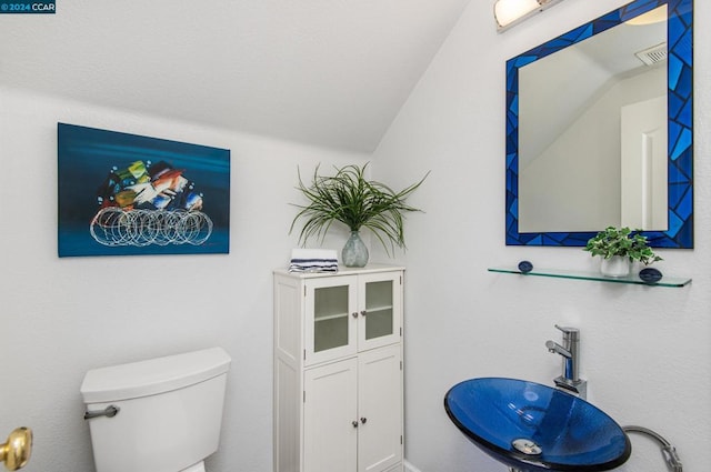 bathroom featuring toilet and vaulted ceiling