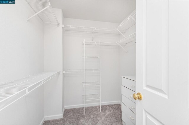 walk in closet with light colored carpet