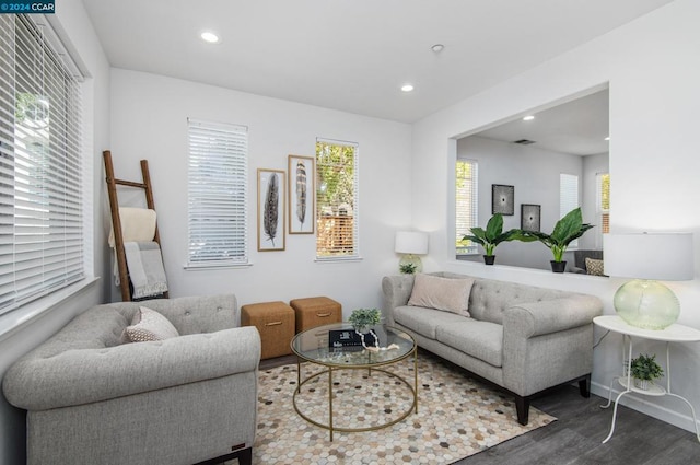 living room featuring dark wood-type flooring