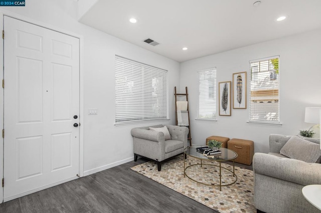 living room featuring dark wood-type flooring