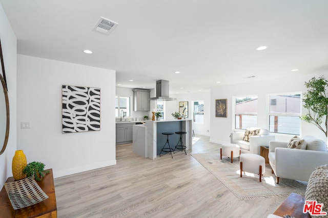 living room with light hardwood / wood-style flooring and sink