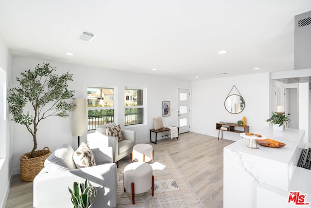 living room with light hardwood / wood-style flooring