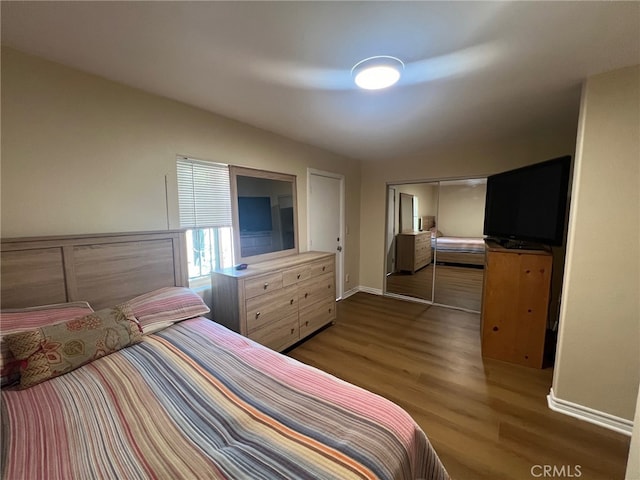 bedroom featuring a closet and dark hardwood / wood-style floors