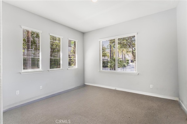 unfurnished room featuring plenty of natural light and carpet flooring